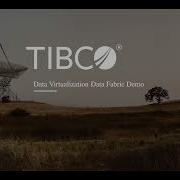 TIBCO Data Virtualization Data Fabric Demonstration