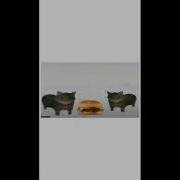 This Is A Hamburger But The Dimensions Are Weird