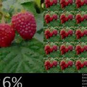 Watch This Genetic Algorithm Evolved In Timelapse