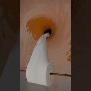 Tissue Paper V S Water Hole Experiment Scienceproject Scienceexperiment Shorts Waterhole