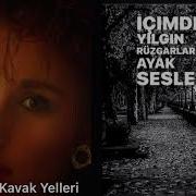 Nilüfer Kavak Yelleri