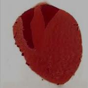 100 Random Images From Thisartworkdoesnotexist Com