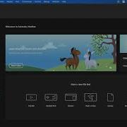 Adobe Animate Workspace Setup
