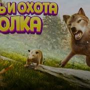 ЖИЗНЬ И ОХОТА ВОЛКА The Wolf