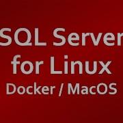 Installing SQL Server For Linux On Docker Container On Mac