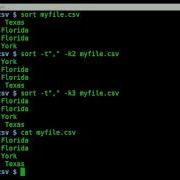 Sort CSV By Column BASH Linux