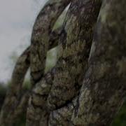 Trapcode Tao Depth Of Field