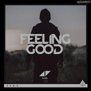 Avicii Feeling Good
