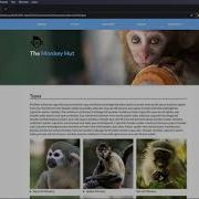 JQuery Selectors