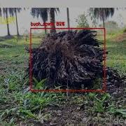 Custom Object Detection Classification Using EfficientNet Model
