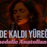 Sende Kaldı Yüreğim Psychedelic Anatolian Rock