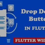 Flutter DropdownButton Widget Complete Guide