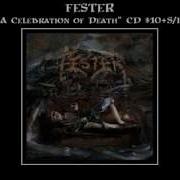 FESTER Norway Rites Of Ceres Promo Video