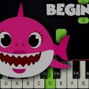 Baby Shark Song BEGINNER PIANO TUTORIAL SHEET MUSIC By Betacustic
