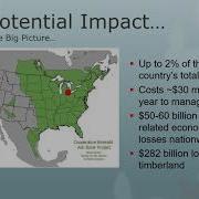 Update On Emerald Ash Borer EAB Biocontrol