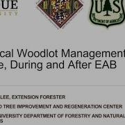 Practical Woodlot Management Before During And After EAB