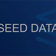 Setup Seed Data In An Entity