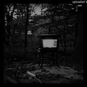 Bones Branches Slowed Reverb