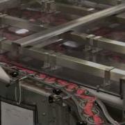 Yogurt Cup Conveyor And Accumulation Table