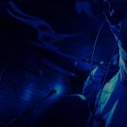 Snake Charmer Sanctuary Music Video