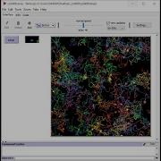 CSS600 NetLogo Tutorial Three Git 20Sep2020