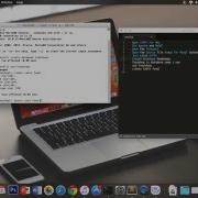 How To Create MySQL Database Xampp Terminal Mac