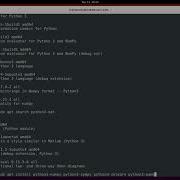 Search And Install Python 3 Libraries