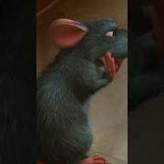 RATS In The Kitchen Ratatouille Disney Kids