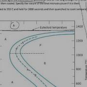 Time Temperature Transformation Worksheet Problem
