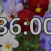36 Minutes Timer With Music Spring Timer