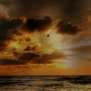 Flying Not Falling Live Orchestra Choir By Eternal Eclipse Thomas Adam Habuda
