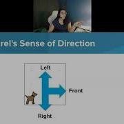 CodeHS 1 3 1 More Basic Karel