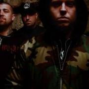 Hatebreed Undiminished