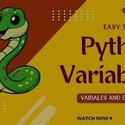 Python Variables Data Types Explained Easy In 5 Minutes Beginner Friendly Guide Python