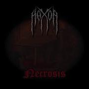 Hax0r Necrosis Progressive Minatory
