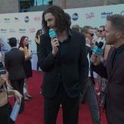 Hozier Red Carpet Interview BBMA 2015