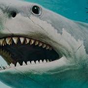 Far Cry 6 Part 12 SHARK ATTACK