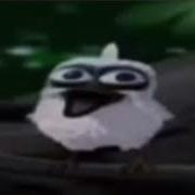 Bird Screams Earrape Warning