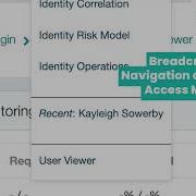 SailPoint IdentityIQ UI Plugin