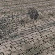 Morph Test 1