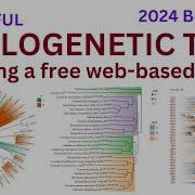 How To Draw A Phylogenetic Tree