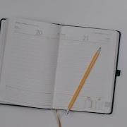 How To Make Diary With Python In 10 Minutes Easy Steps Codewithtaus