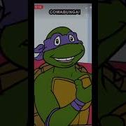 TMNT Finally Share A Pizza