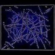 Semiflexible Polymer Network Simulation