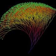 The Collatz Tree A Simple Processing Animation