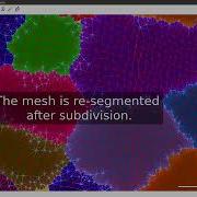 Image Processing On Surfaces With MorphoGraphX