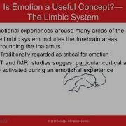 PSY 102 Chapter 11 Emotion
