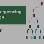 DNA Sequencing And PCR Biology