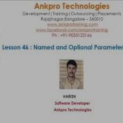 C Beginner To Advanced Lesson 46 Named And Optional Parameters