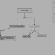 CmapTools Tutorial Básico
